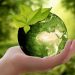 10 Easiest Ways to be Eco-Friendly