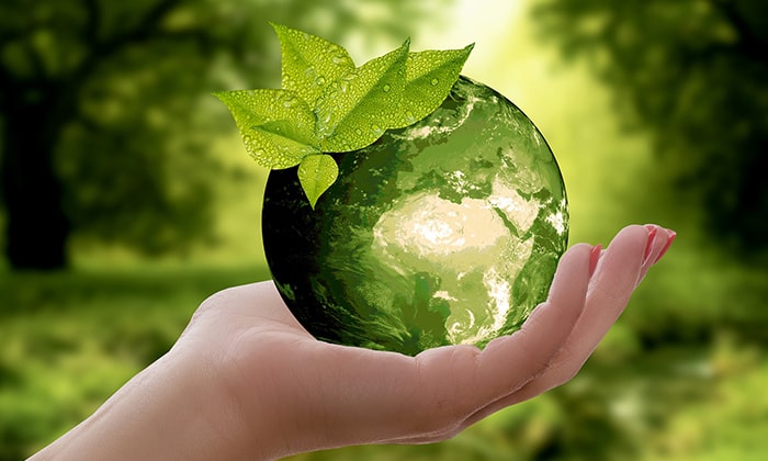 10 Easiest Ways to be Eco-Friendly