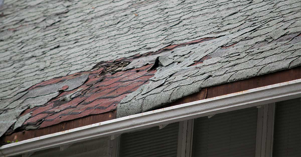 7 Signs That You Need Roof Repair ASAP