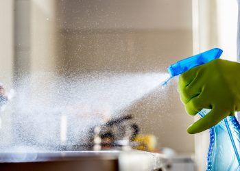 Tips To Properly and Safely Disinfect Your Home