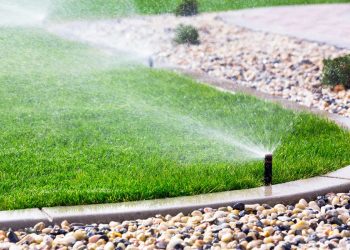 Top 6 Important Summer Plumbing Tips for Your Property