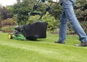 7 Tricks That Help You Mow the Lawn Like a Pro