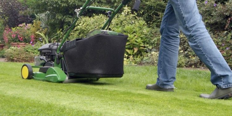 7 Tricks That Help You Mow the Lawn Like a Pro
