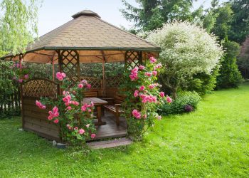 Outdoor wooden gazebo with roses and summer landscape background