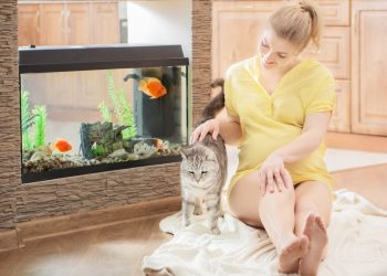 happy pregnant woman with cat at home