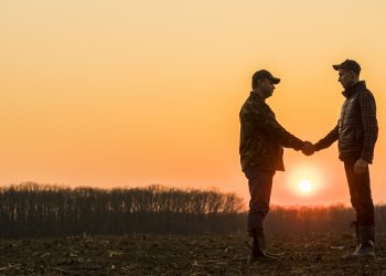 Two farmers on the field shake hands at sunset.