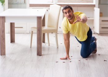 Young man and with lot of cockroaches at home