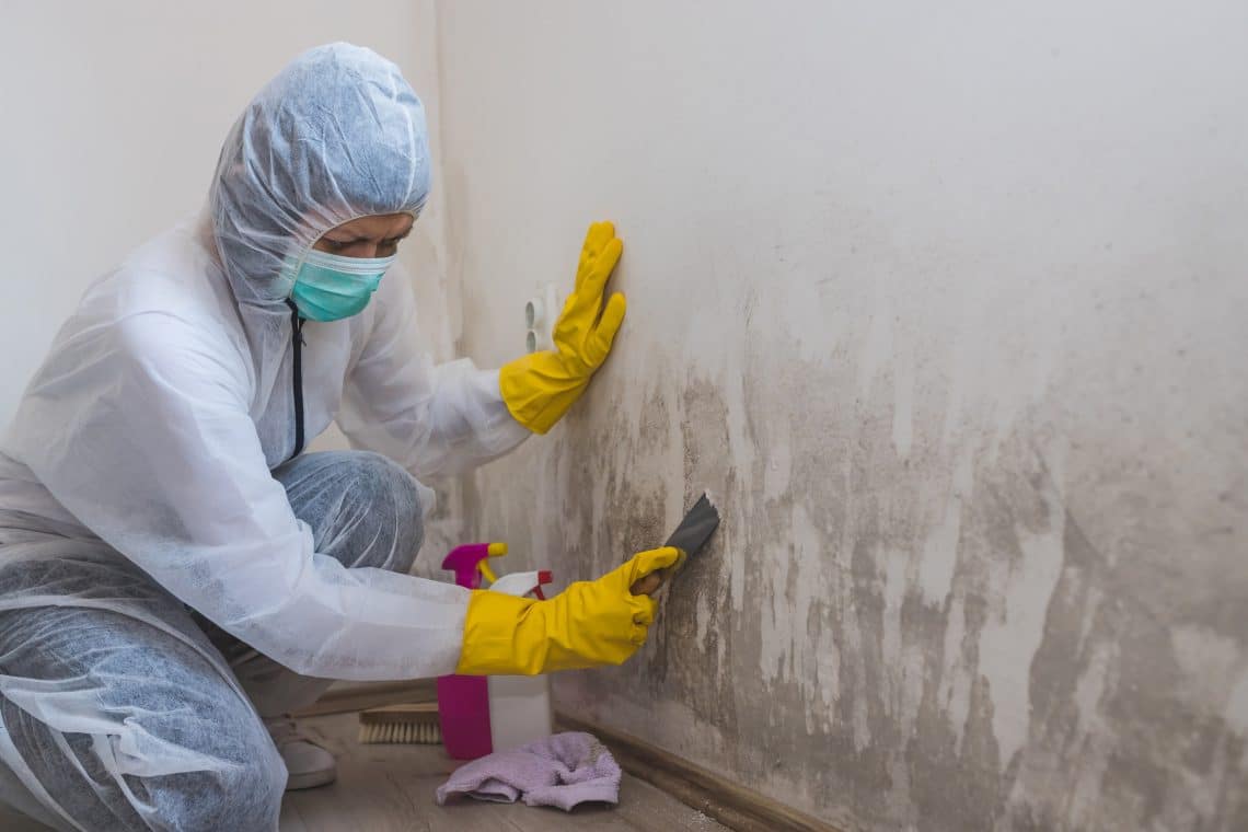 Professional Mold Removal 101 When To Stay Home Or Stay Away