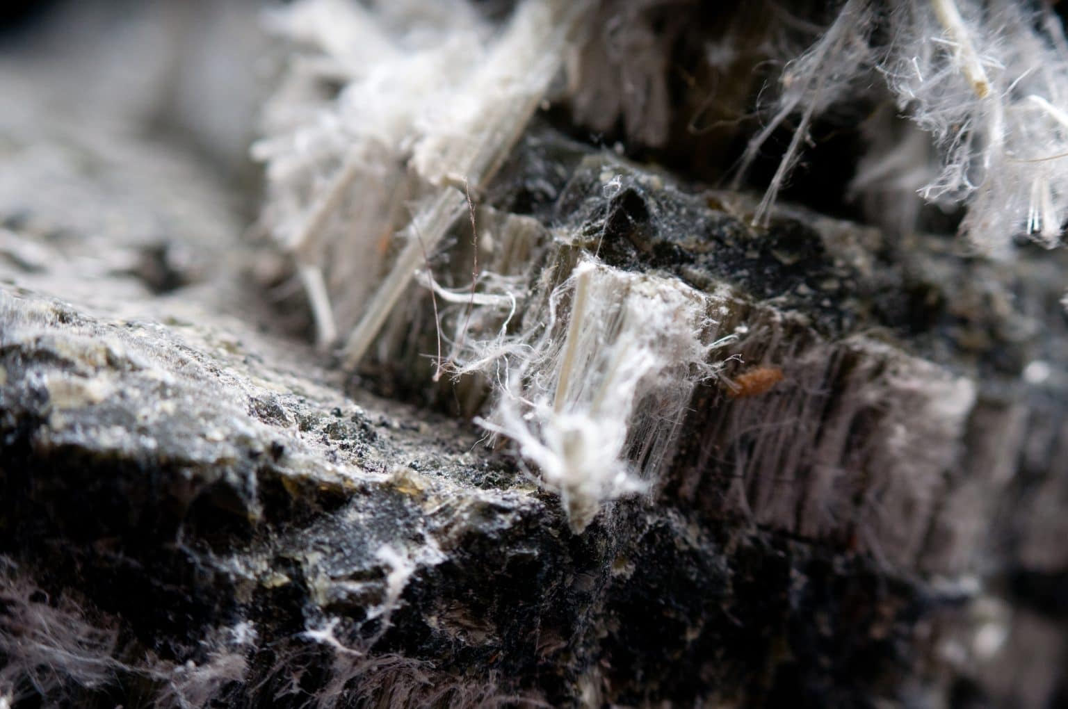 6 Things To Know About Asbestos HouseAffection