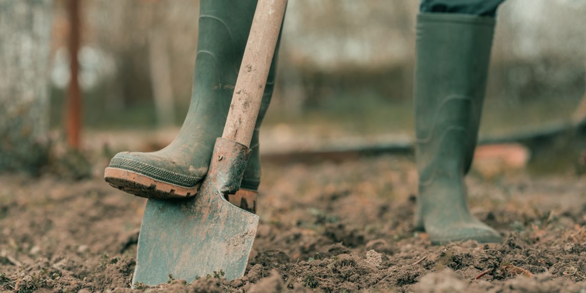 Farmer in rubber boots using spade gardening equipment in garden, low angle, selective focus