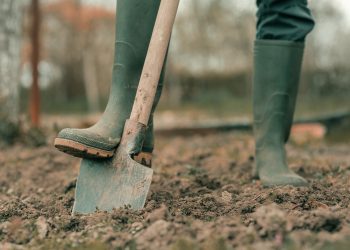 Farmer in rubber boots using spade gardening equipment in garden, low angle, selective focus