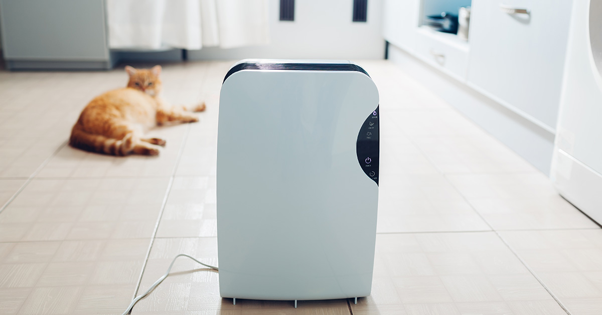 How Does an Air Purifier Help With Allergies? HouseAffection