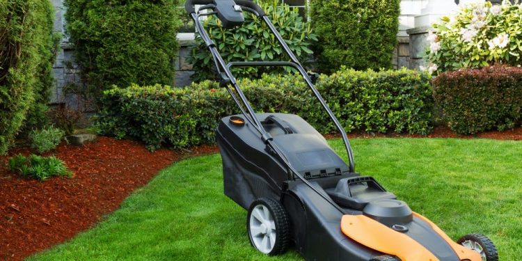 Best Electric Lawn Mower