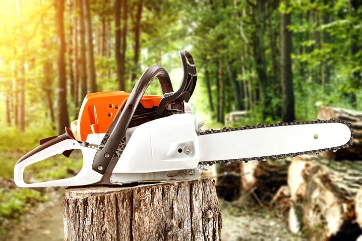 Best Professional Chainsaw