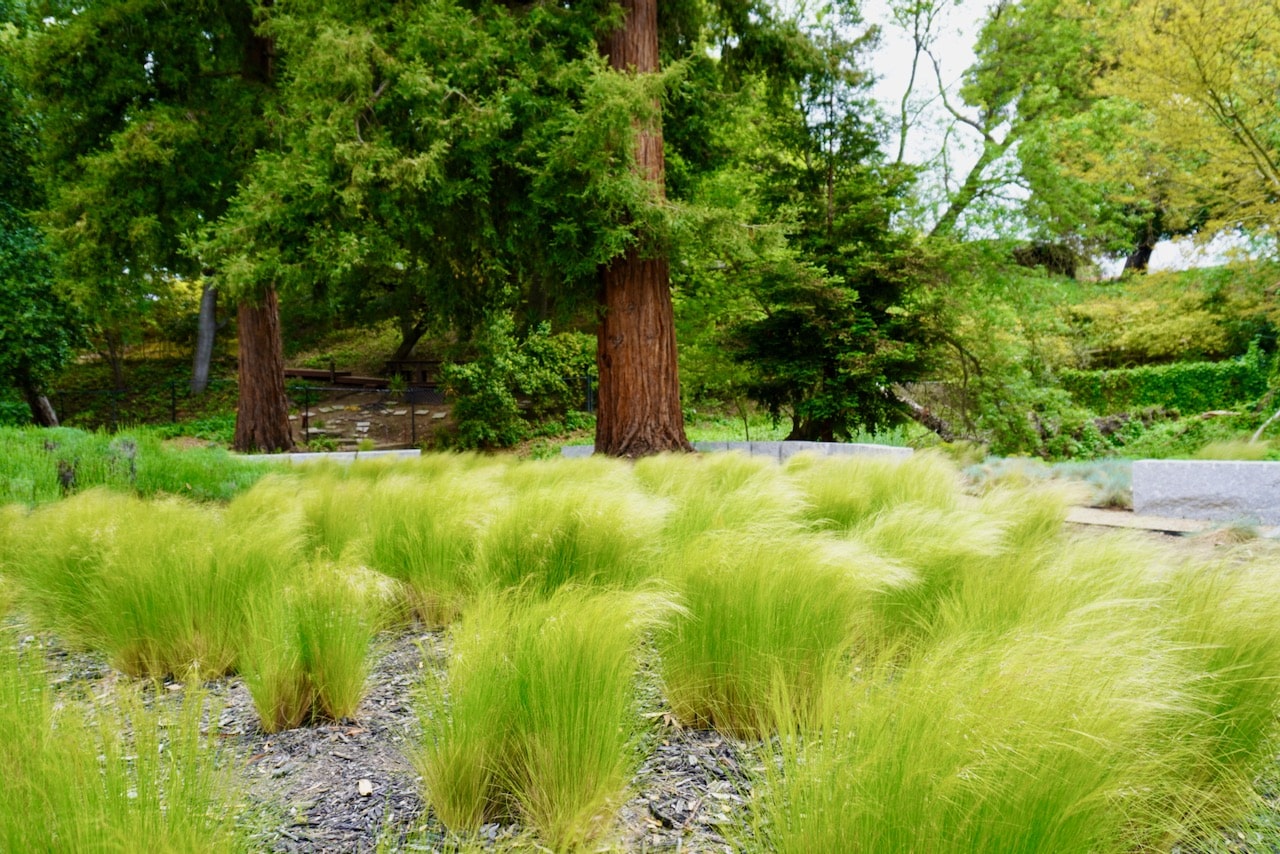 Sustainable Practices for Maintaining Bay Area Landscapes