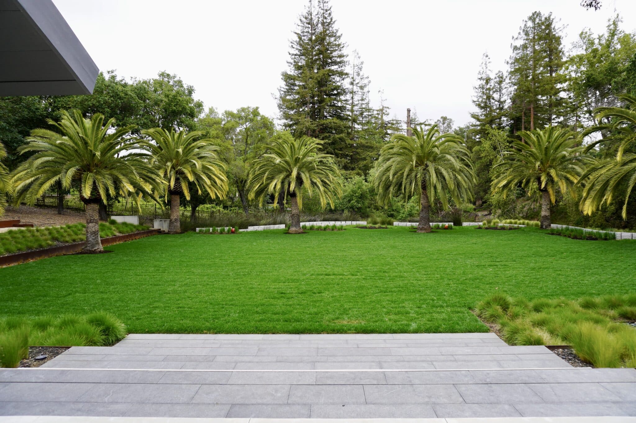 Sustainable Practices for Maintaining Bay Area Landscapes