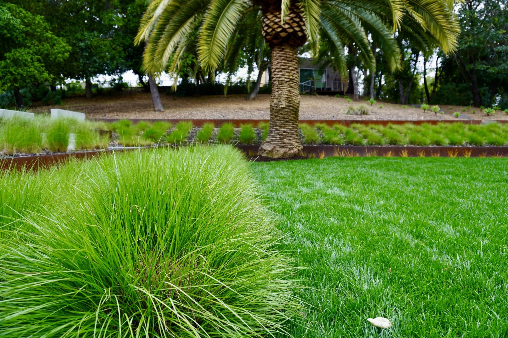 Sustainable Practices for Maintaining Bay Area Landscapes