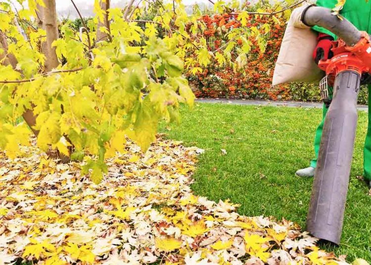 How Does Leaf Mulcher Work? HouseAffection