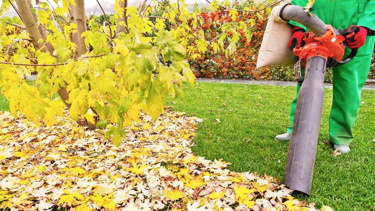 How Much Vacuum Does a Leaf Mulcher Have?