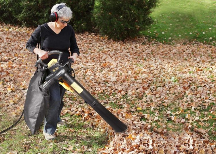 How Does Leaf Mulcher Work? HouseAffection