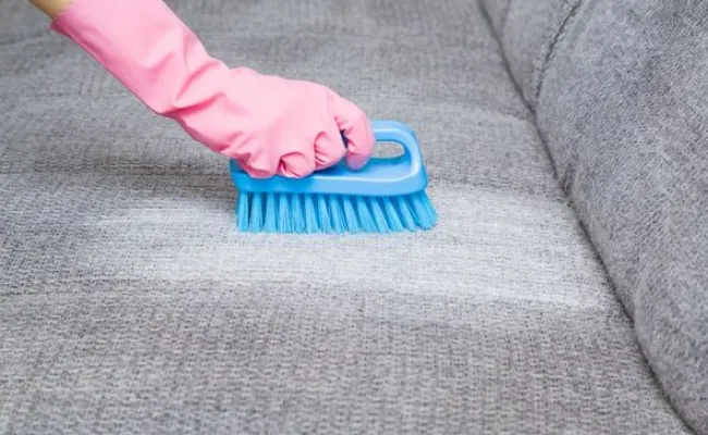 A Guide to Maintaining Sofas: Tips and Techniques