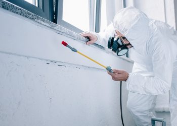 Why Is Regular Pest Control Required?