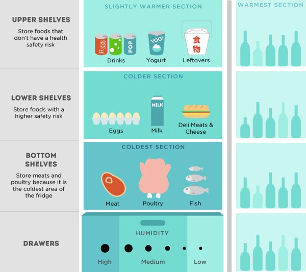 Refrigerator Storage Chart And Guidelines Where To Place Your Food In Your Fridge HouseAffection