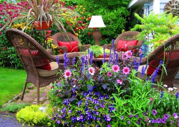 Simple Ways to Make Your Garden Look Stunning