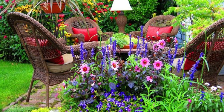 Simple Ways to Make Your Garden Look Stunning