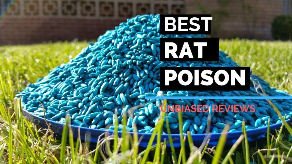 Best rat poison