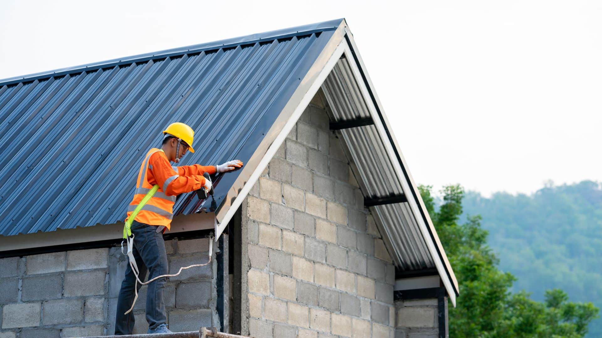 Do Green Roofs Need Frequent Maintenance?