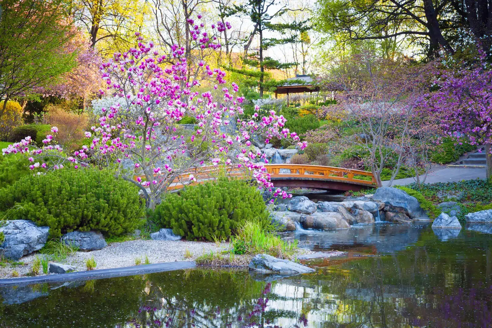 Western Gardening Style: Simplicity and Natural Beauty