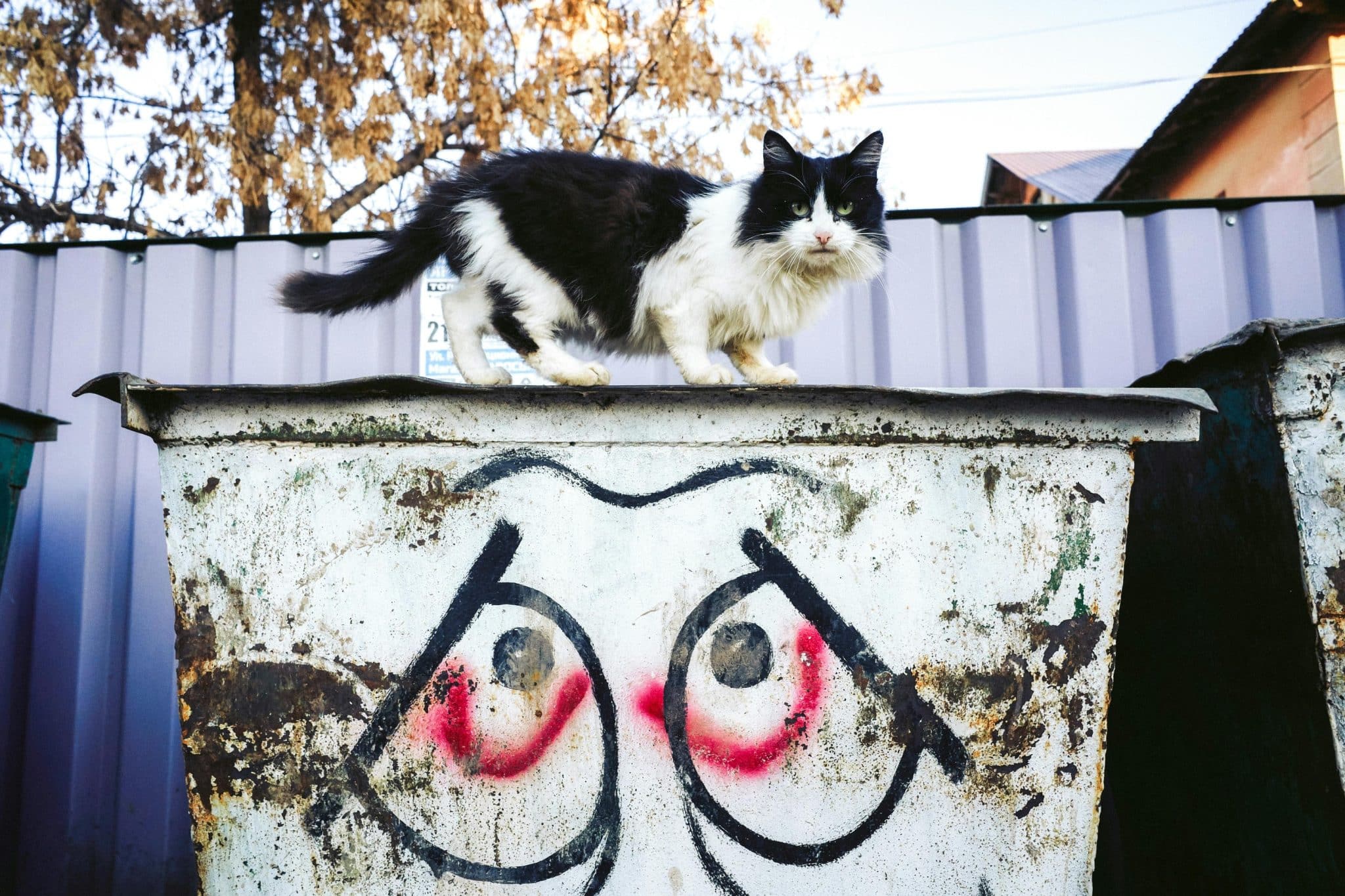 When You Typically Need a Dumpster Rental Permit