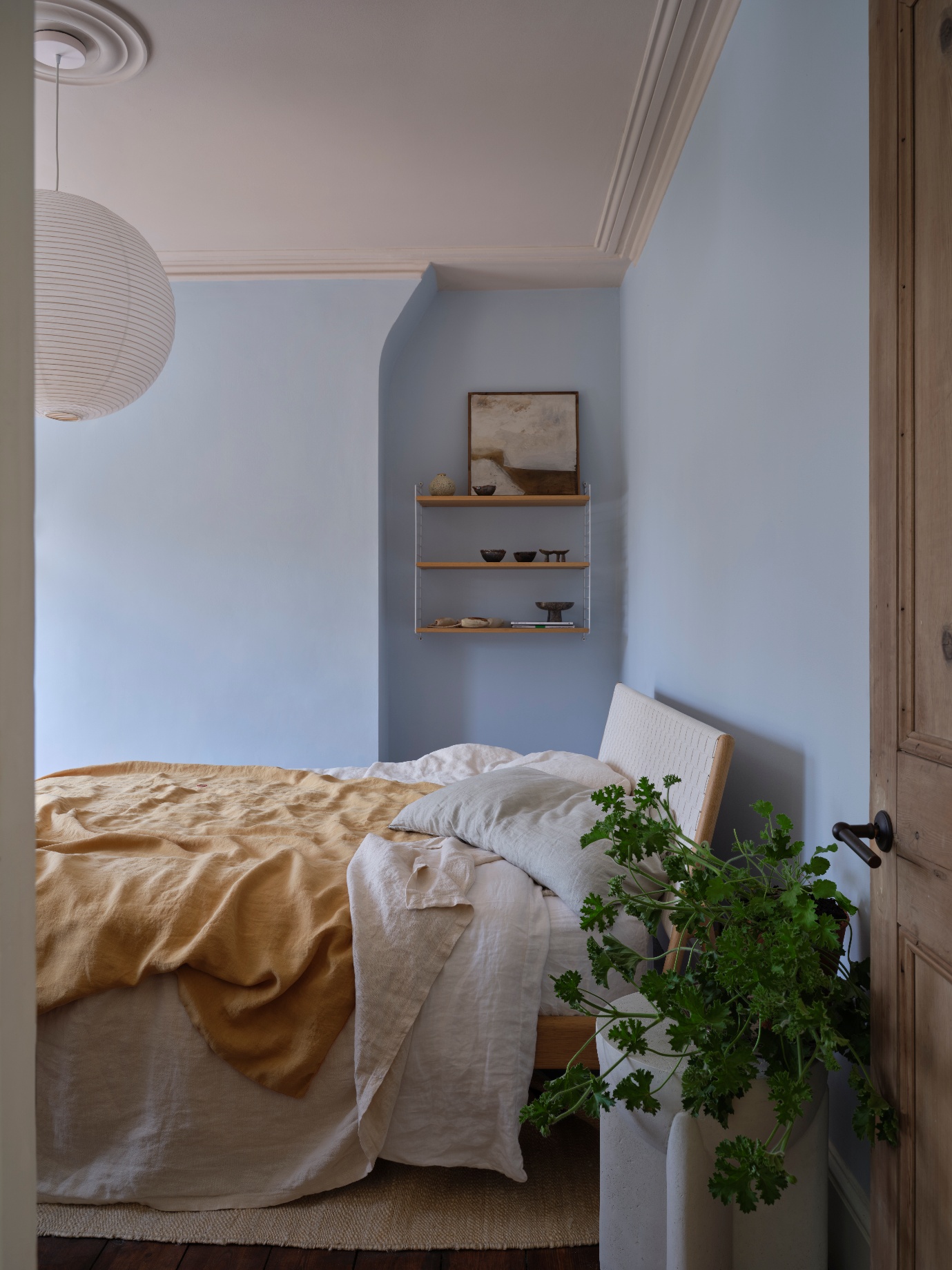 A bed with a plant in a room