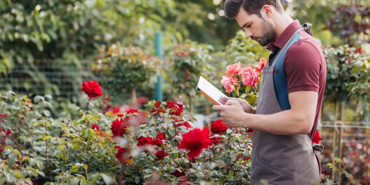 A person looking at a phone Description automatically generated with low confidence