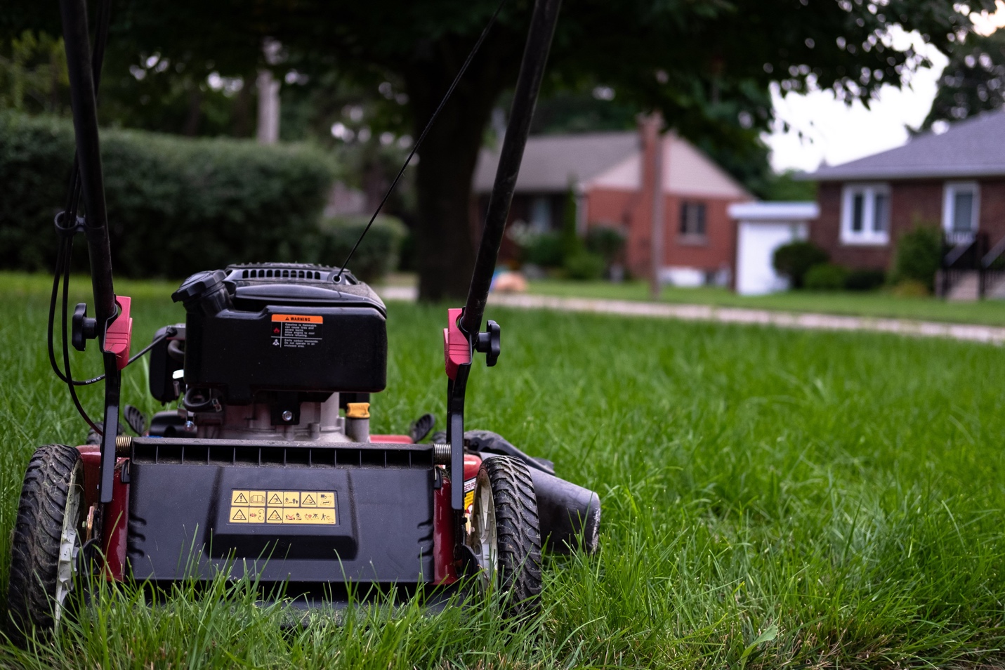 A truck that is sitting on the grass Description automatically generated