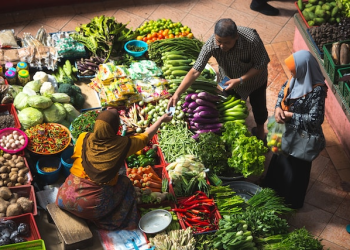 Why Farm Markets Are the Future of Sustainable Food