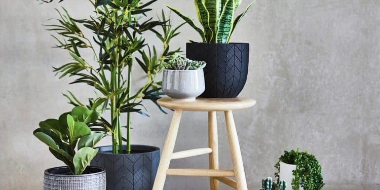 Artificial Plants - Fake Plants - Bunnings Australia