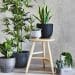 Artificial Plants - Fake Plants - Bunnings Australia