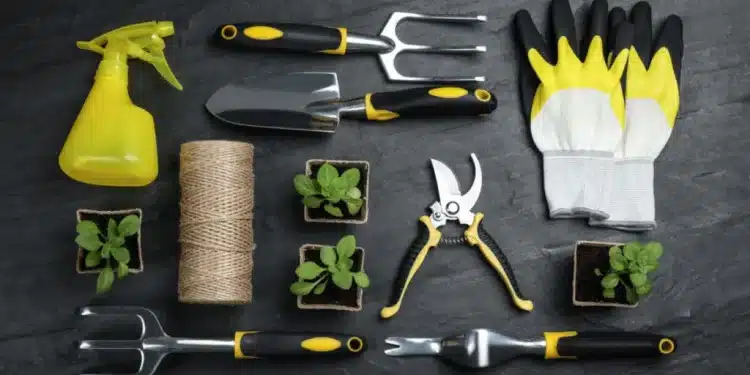 Top 9 Must-Have Gardening Tools For Gardeners