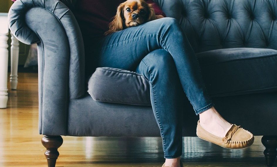 Couch, Feet, Shoes, Wooden, Floor, Dog, Puppy, Brown