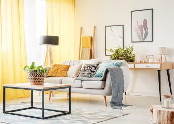 Plant on table and lamp in warm living room with yellow curtains, posters and pillows on sofa