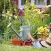 Three tools every gardener should add to their collection