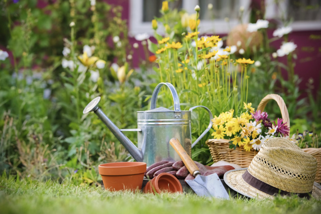 Three tools every gardener should add to their collection