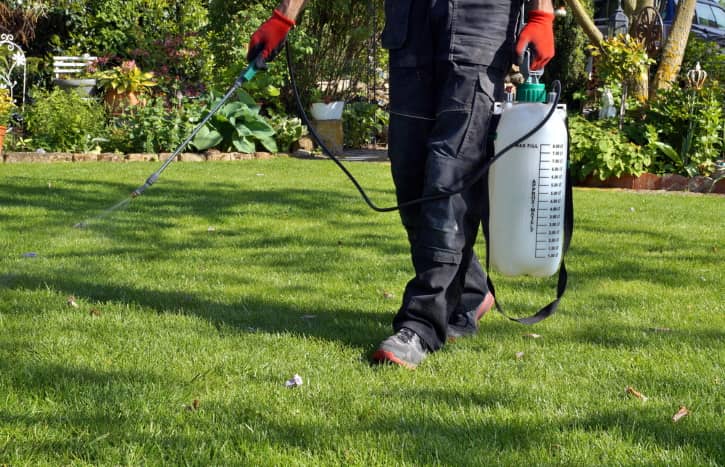 weed killer takes time to work