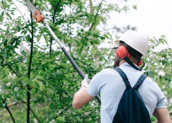 HOW TO USE A POLE SAW