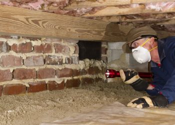 Termite inspector in residential crawl space inspects a foundation for termites.