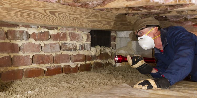 Termite inspector in residential crawl space inspects a foundation for termites.