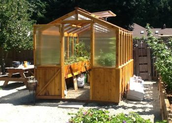 4 Reasons Why a Mini Greenhouse Is a Great Solution for Your Backyard