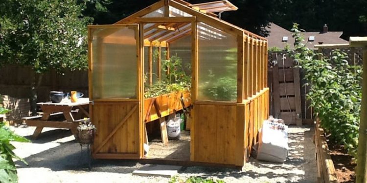 4 Reasons Why a Mini Greenhouse Is a Great Solution for Your Backyard